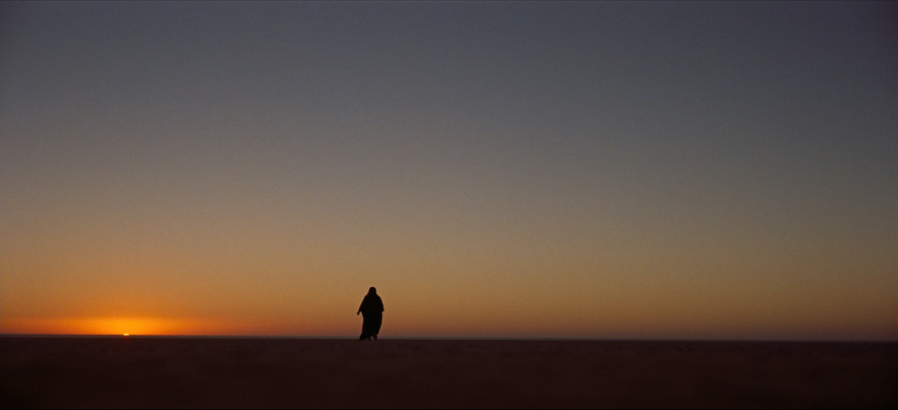 Photo of a vast desert with a lone figure.