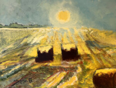 0006. Untitled. 28" x 22" (2009) Bales of hay in the blistering sun. Bales of hay in the blistering sun.