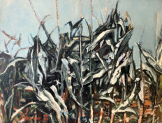 0008. Untitled. 28" x 22" (2009) View from inside a cornfield. View from inside a cornfield.