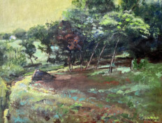 0031. The Cows' Altar, Study #1. 20" x 16" (2001) An empty ravine in a field with wooded area in the distance. An empty ravine in a field with wooded area in the distance.