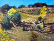 0034. The Stone Field in Summer. 18" x 14" (2001) Landscape of wooded ravine with a vivid blue sky. Landscape of wooded ravine with a vivid blue sky.