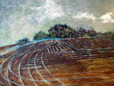 Landscape with crop and trees.
