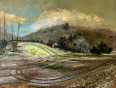Landscape of meadow with a green path.
