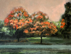 Orange leaves on trees with pink-hued sky.