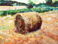 A rolled bale of hay in a field.